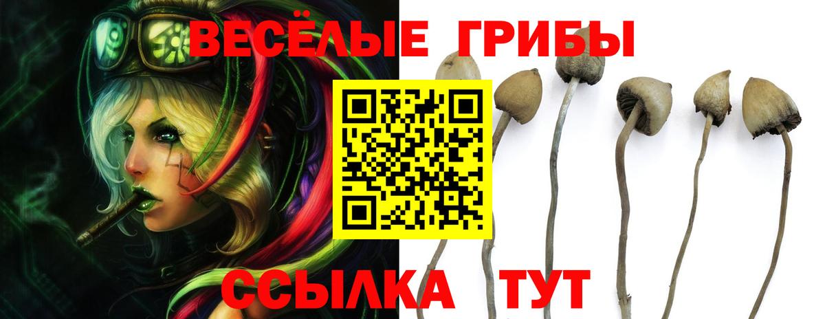 Галлюциногенные грибы мицелий  Вход с VPN  Гусь-Хрустальный 